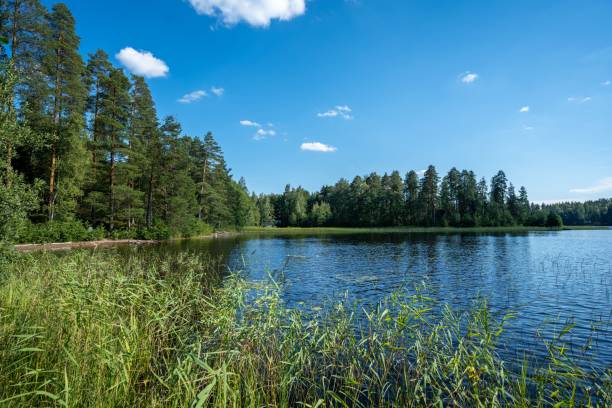 istock Serene lake surrounded by lush green forest under a bright blue sky. 2170304596