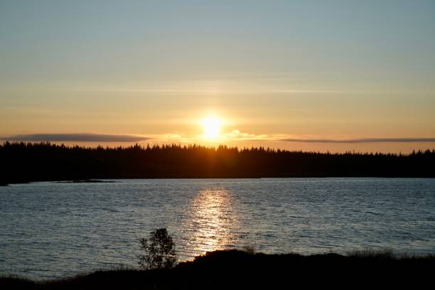 istock Sunset over a calm lake with tree silhouette 2170305247