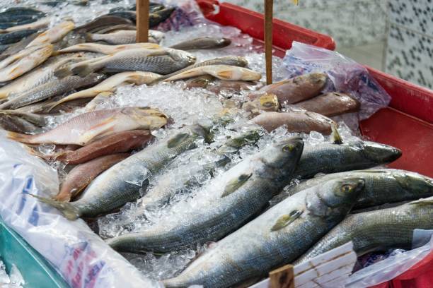 istock Fish displayed on ice at a local market 2170305337
