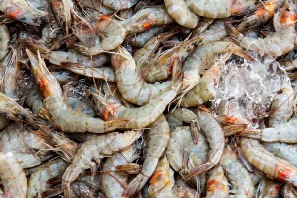 istock Fresh raw shrimp with ice at the seafood market. 2170305364