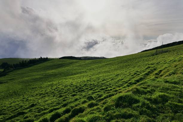 Free Stock Photo of Lush green hills under a cloudy sky | Download Free ...