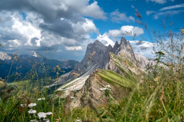 Seceda mountain range in the Dolomites, Italy.