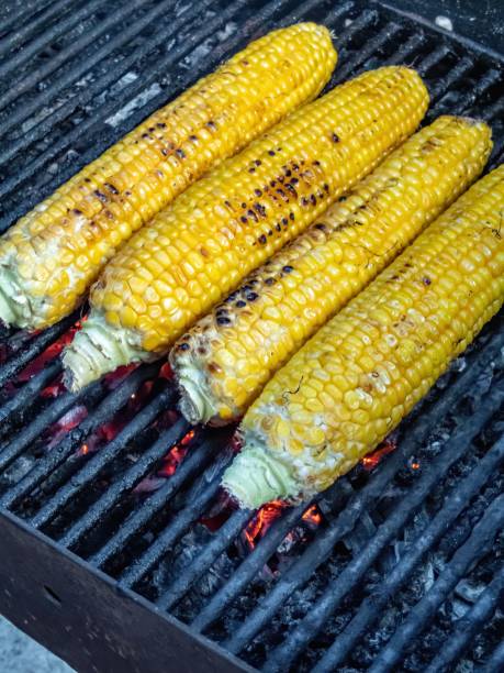 istock Closeup of grilled corn on the cob being cooked on a barbecue grill 2170308332