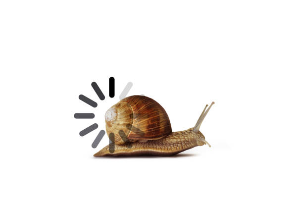 istock Snail with slow progress loading bar on white background - Concept of slow speed 2170311978