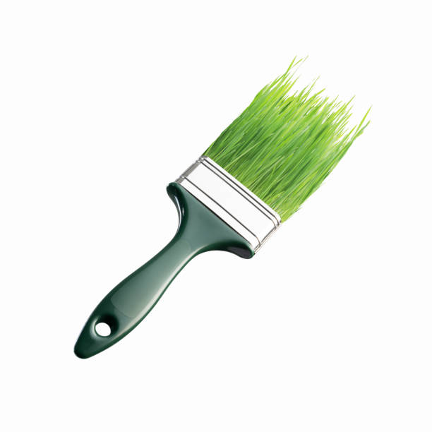 istock Eco-friendly paintbrush with bristles made of grass blades 2170314867