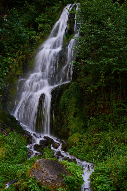 One of the many beautiful waterfalls along the Columbia River Gorge on the Oregon side.  The natural beauty of the Pacific Northwest.