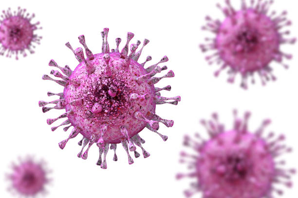 Human cytomegalovirus, illustration