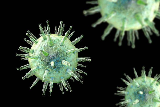 virus di epstein-barr, illustrazione - virus di epstein barr foto e immagini stock