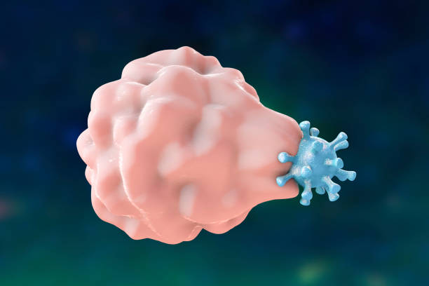 istock Leukocyte engulfing a virus, illustration 2170320763