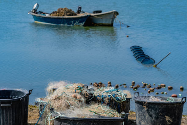 Fish in fishing net on fisherman boat