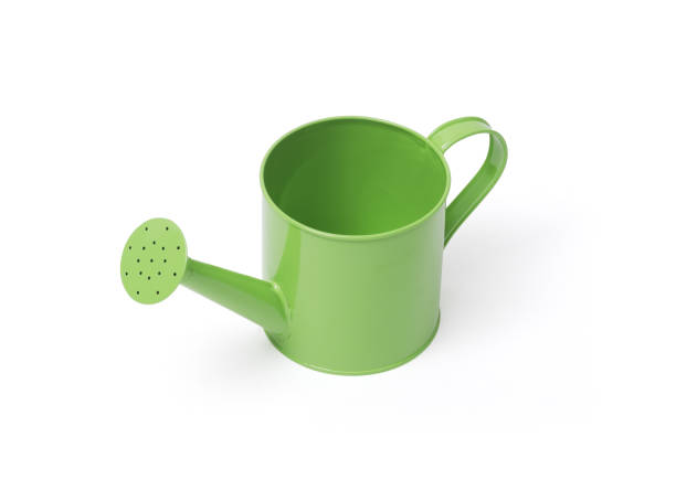 Watering can isolated on white background, gardening supplies and tools concept