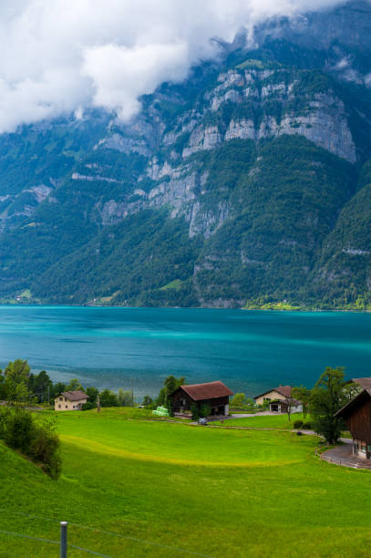 istock Lake in the Swiss Alps 2170335921