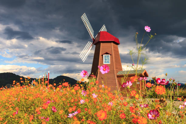 View of the historic windmill at Kastellet in Copenhagen, set within the star-shaped fortress surrounded by green lawns and calm pathways. The traditional wooden windmill reflects Denmark’s military history and offers a peaceful glimpse into the city’s past.