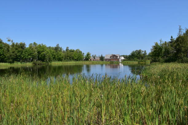 istock The pond near the mill 2170341791