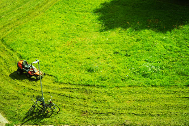 istock Professional lawn mower with worker cutting the grass in a garden 2170350986