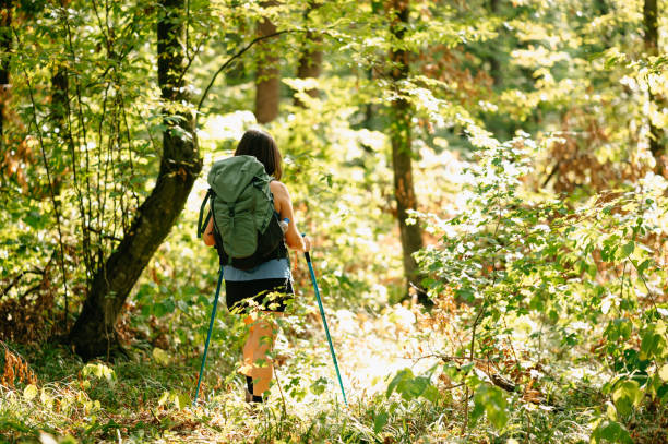 istock A young woman embarks on an invigorating hike through a lush green forest, emphasizing adventure and nature exploration 2170351486