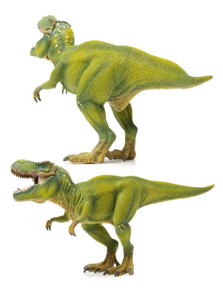 little boy leading a dinosaur as a pet in the vast wilderness