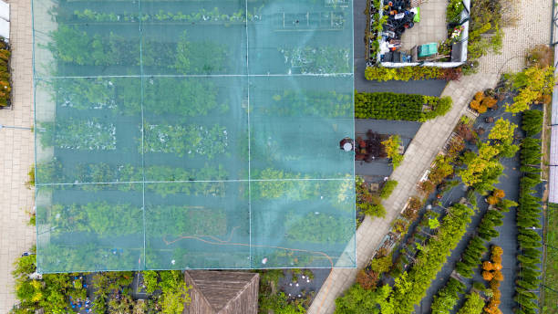 istock Aerial View of a Plant Nursery with Pathways 2170356064