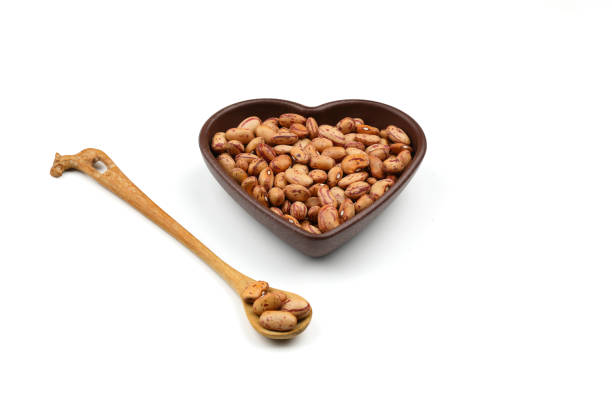 Phaseolus vulgaris is the scientific name for the Pinto bean vegetable.