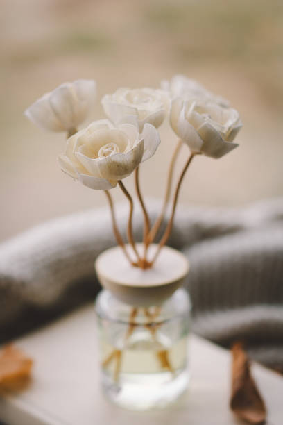 istock Cozy indoor setting with a Incense sticks for the home with a floral scent surrounded 2170359740