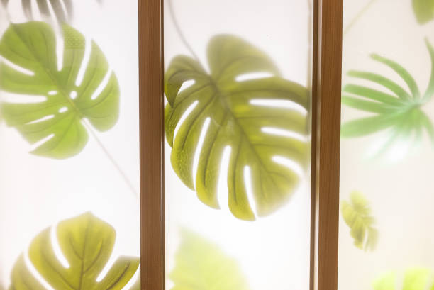 istock Large bright green monstera leaf in front of unfocused white misty glass 2170366030