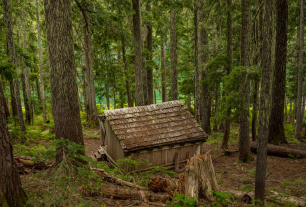 istock Shelter at Lake George in Mount Rainier 2170372773