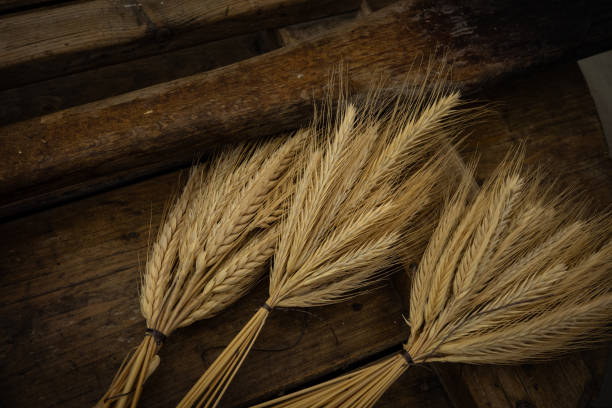 istock wheat stalks on vintage wooden table 2170372919
