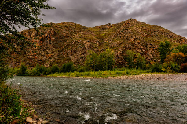 Cloudy morning on a fast mountain river. The sky is covered with thick thunderclouds. Sunlight barely breaks through the clouds. Twilight lighting. There is a dense forest along the banks. The bank and the riverbed are rocky with large boulders.