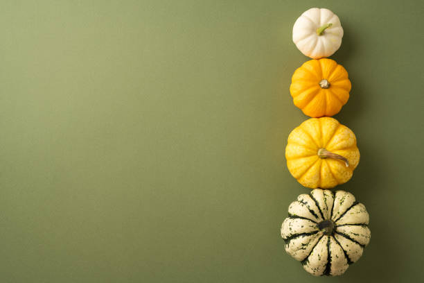 istock Four vibrant pumpkins arranged vertically against a green backdrop, showcasing diversity in autumn harvest and thanksgiving decor 2170375044