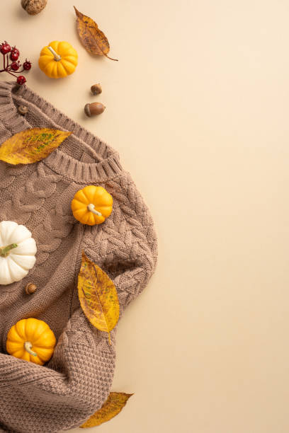 istock Warm vertical autumn scene featuring a cozy sweater surrounded by small pumpkins, acorns, and colorful fallen leaves on a beige background 2170375092