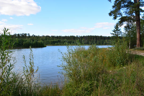 istock a lake with a forest and trees in the foreground copy space 2170378244