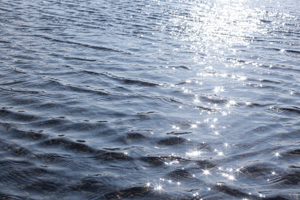 Water background. Water texture. Surface of the water. Waves in the sea. Sun glare on the water.