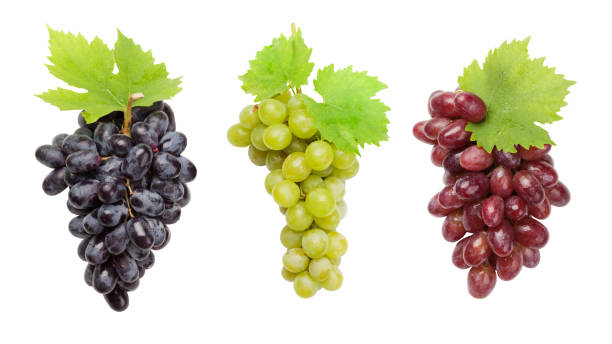 istock Colorful grapes isolated on white 2170383860