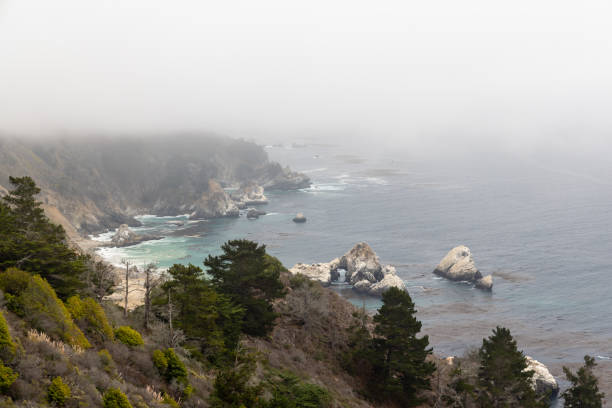 A captivating coastal landscape featuring the majestic ocean along the California State Route 1