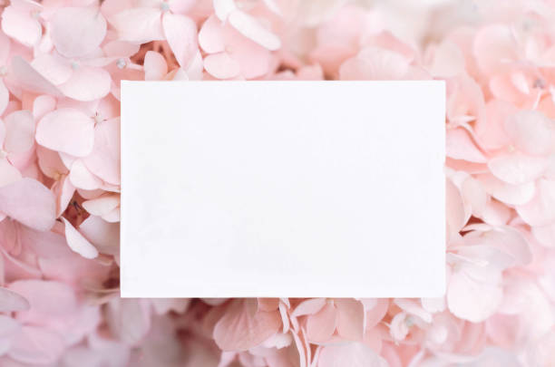 istock Mockup invitation or blank greeting card on a pink flower background 2170385007