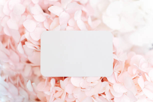 istock Mockup invitation or blank greeting card on a pink flower background 2170385023