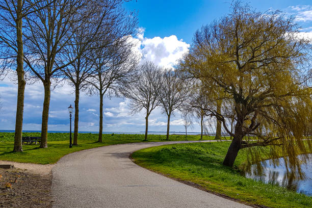 istock Winding country road between bare trees against blue sky 2170389083