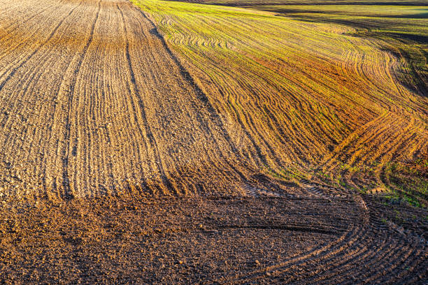 istock Winter Agrarian Landscape in Seville Spain with Textured Fields 2170389434