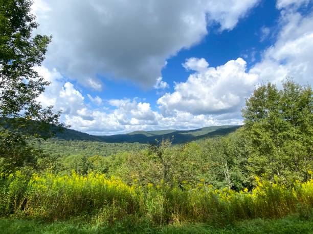 istock Beautiful green rolling hills and valley under blue sky with white clouds 2170391020