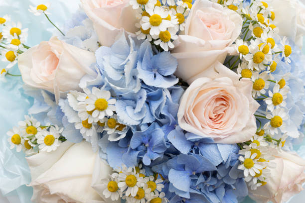 istock closeup of rose, hydrangea and daisy  bouquet 2170392750