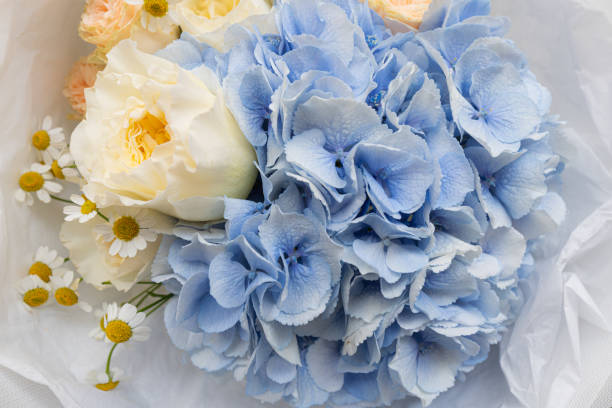 closeup of rose, hydrangea and daisy  bouquet