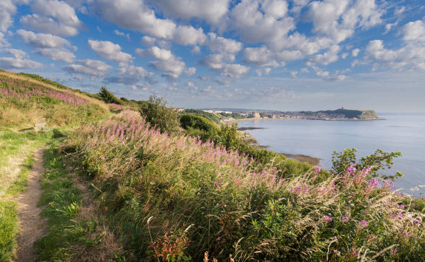 istock Cleveland Way Scarborough 2170393020