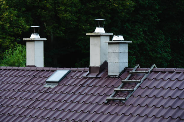 istock metal rooftops with chimneys in forested area 2170393468