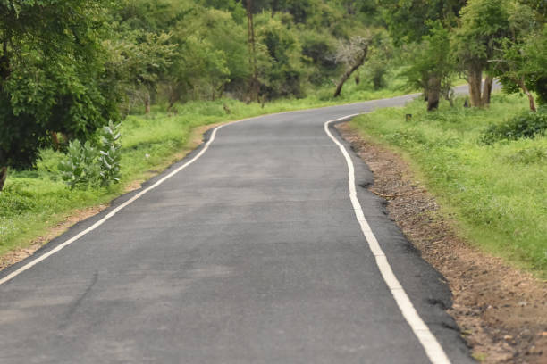 istock A scenic view of a empty road leading into the forest area. 2170394163
