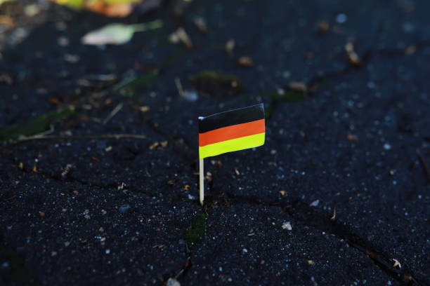 istock Lively closeup of falling autumn leaves with vibrant backlight from the setting sun 2170396989