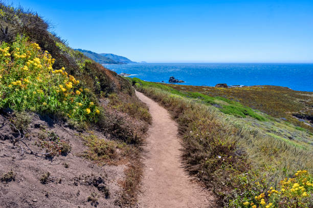 istock Garrapata State Park in California. Oceans, beaches, cliffs, and waves 2170397359