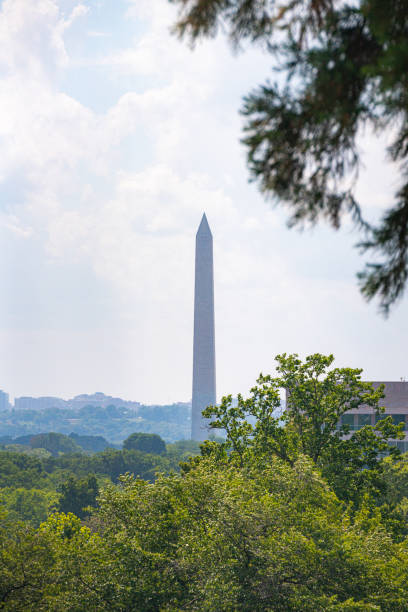 istock Washington Monument Surrounded by Trees in the National Mall in Washington, D.C. 2170397993