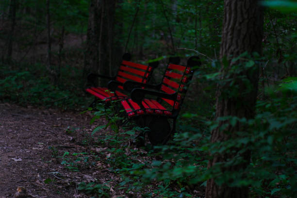 Red wooden benches in the woods