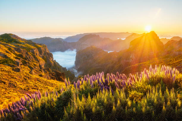 istock View from Pico do Arieiro, Portugal 2170403805