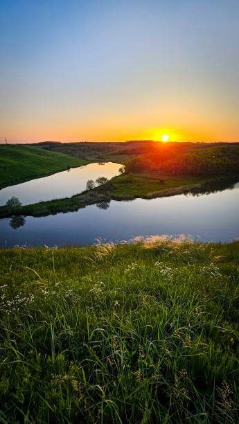 istock A sunlit meadow with a lake, lupines and kovil 2170406820